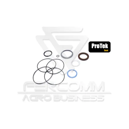 Char-lynn 2000 Engine Repair Kit (CNH)